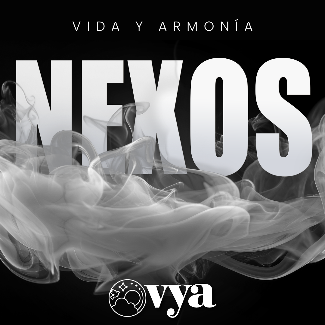 Nexos_Vya